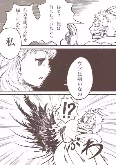 Majo to Karasu Ningen 9