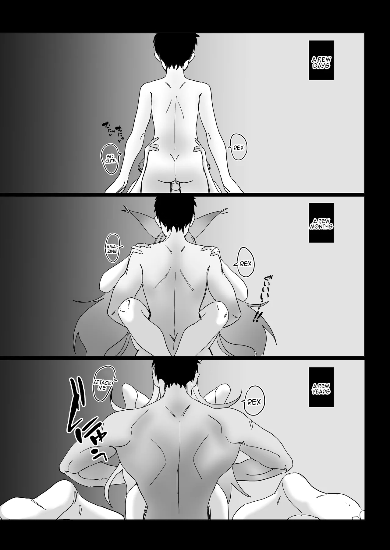 X.BLADE 2.5 - Page 15