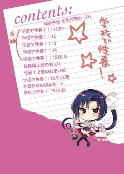 Gakkou de Seishun! Seitokaichou Saori Collection 12-15+18.5+Junai Route+19+20 Omakebon+Taima Seitokaichou Saori 5