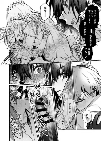 [14000+n's hope[ fate grand order ) 8
