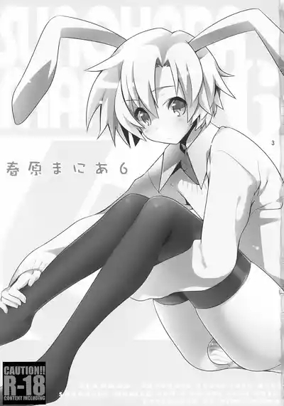 Sunohara Mania 6 2