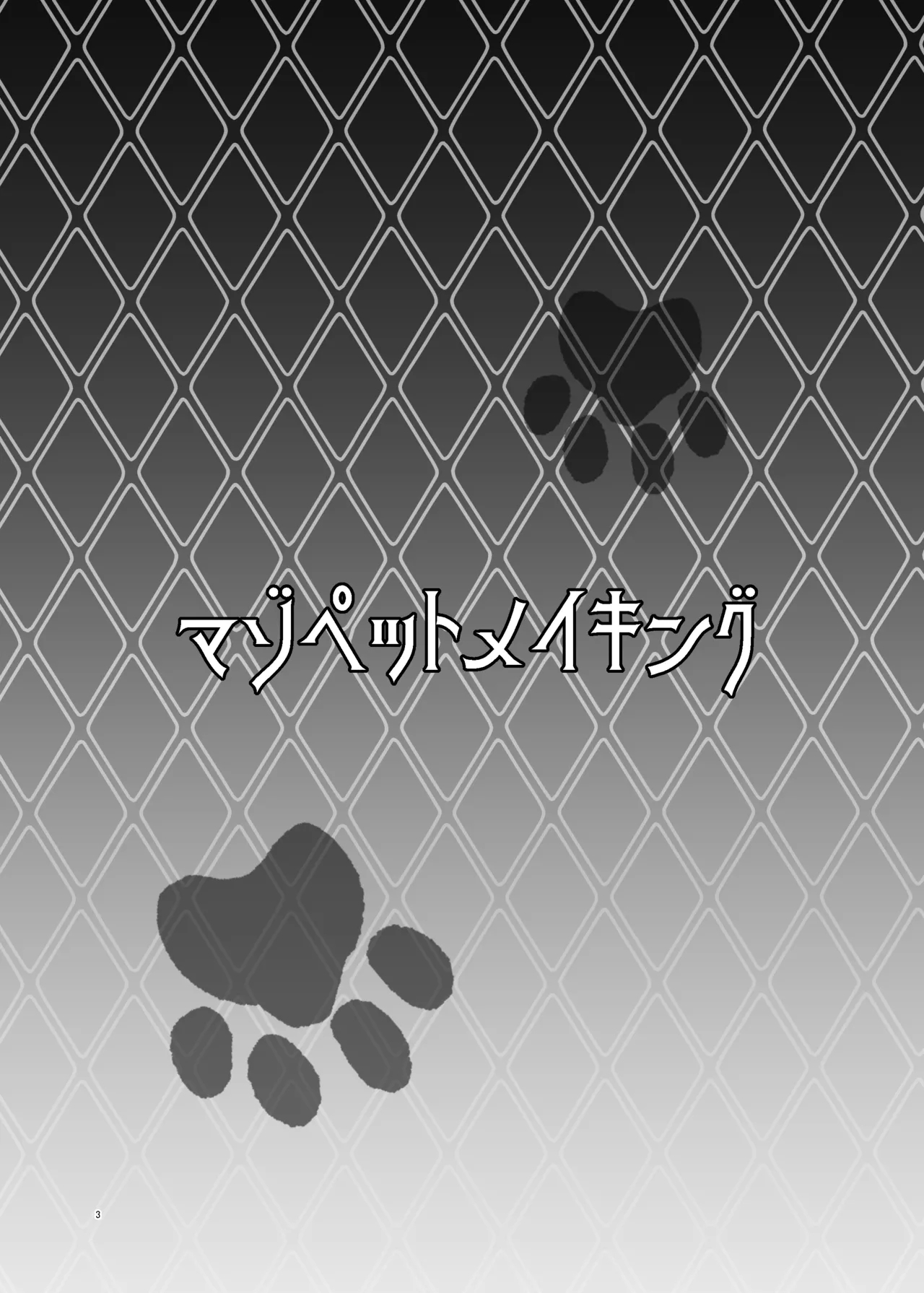 Maso Pet Making - Page 3