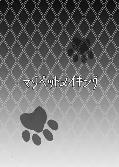 Maso Pet Making 3
