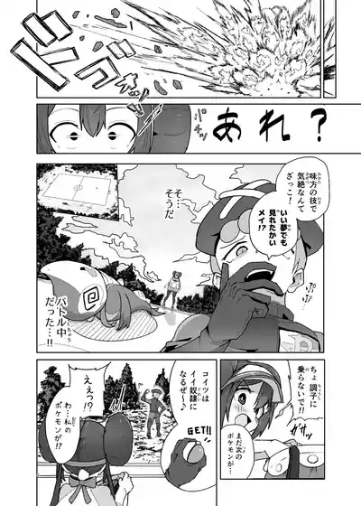 Maso Pet Making 5