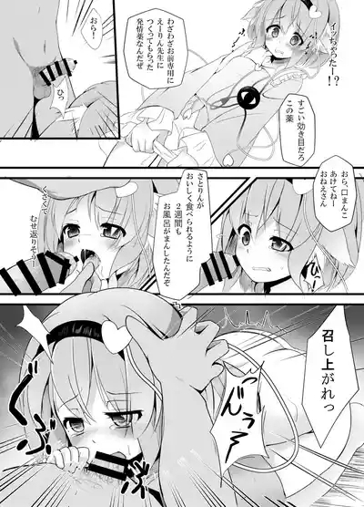Touhou Doubutsu-dono 8