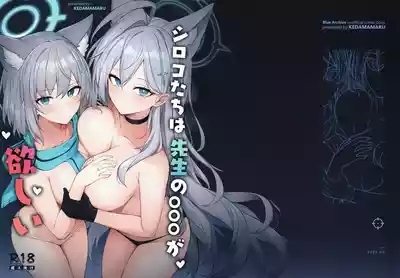 シロコたちは先生の○○○が欲しい 1