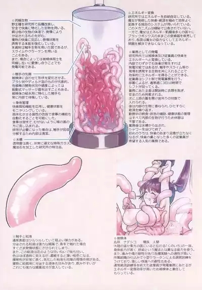 Majo no Kairaku Souchi Mokuroku 9