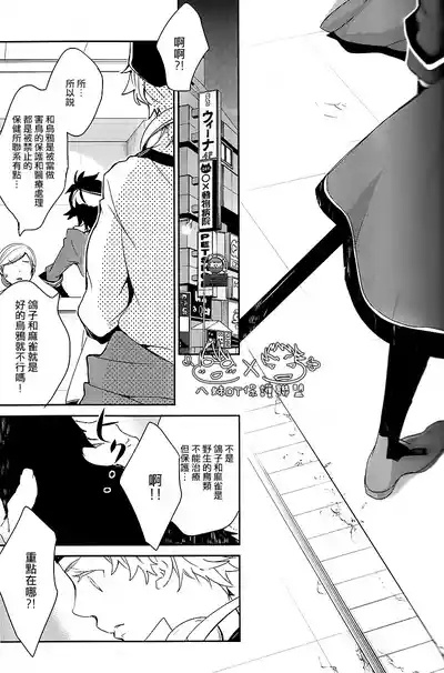 撿到烏鴉的晚上|Karasu o Hirotta Yoru 4