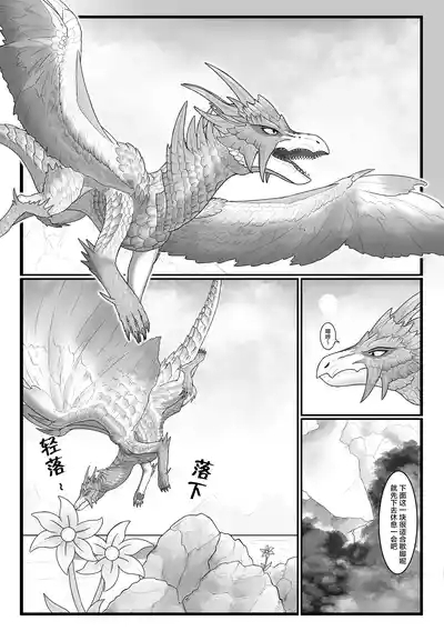 撷花破桎 3