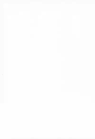 Master's first timeMada Tsukiatte Inai Daisuki Na Ko Tono Hatsutaiken Ga Saikou Sugite Kintama No Nakami Karappo Ni Sarechatta 2