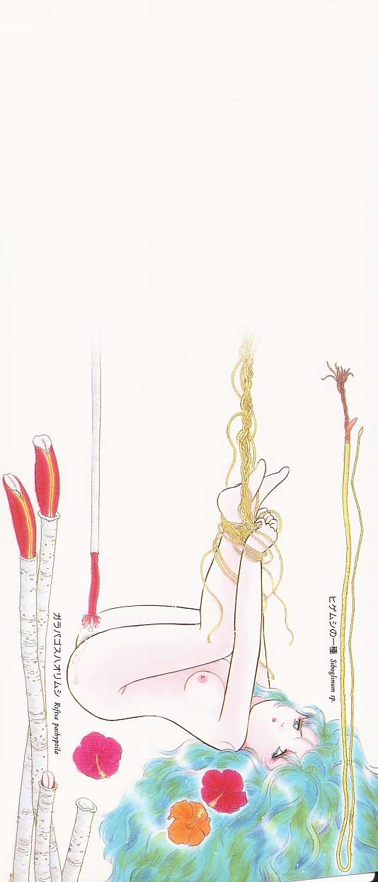 Shoujo no Tekiou to Housan - Radiation and Adaptation of girls - Page 169