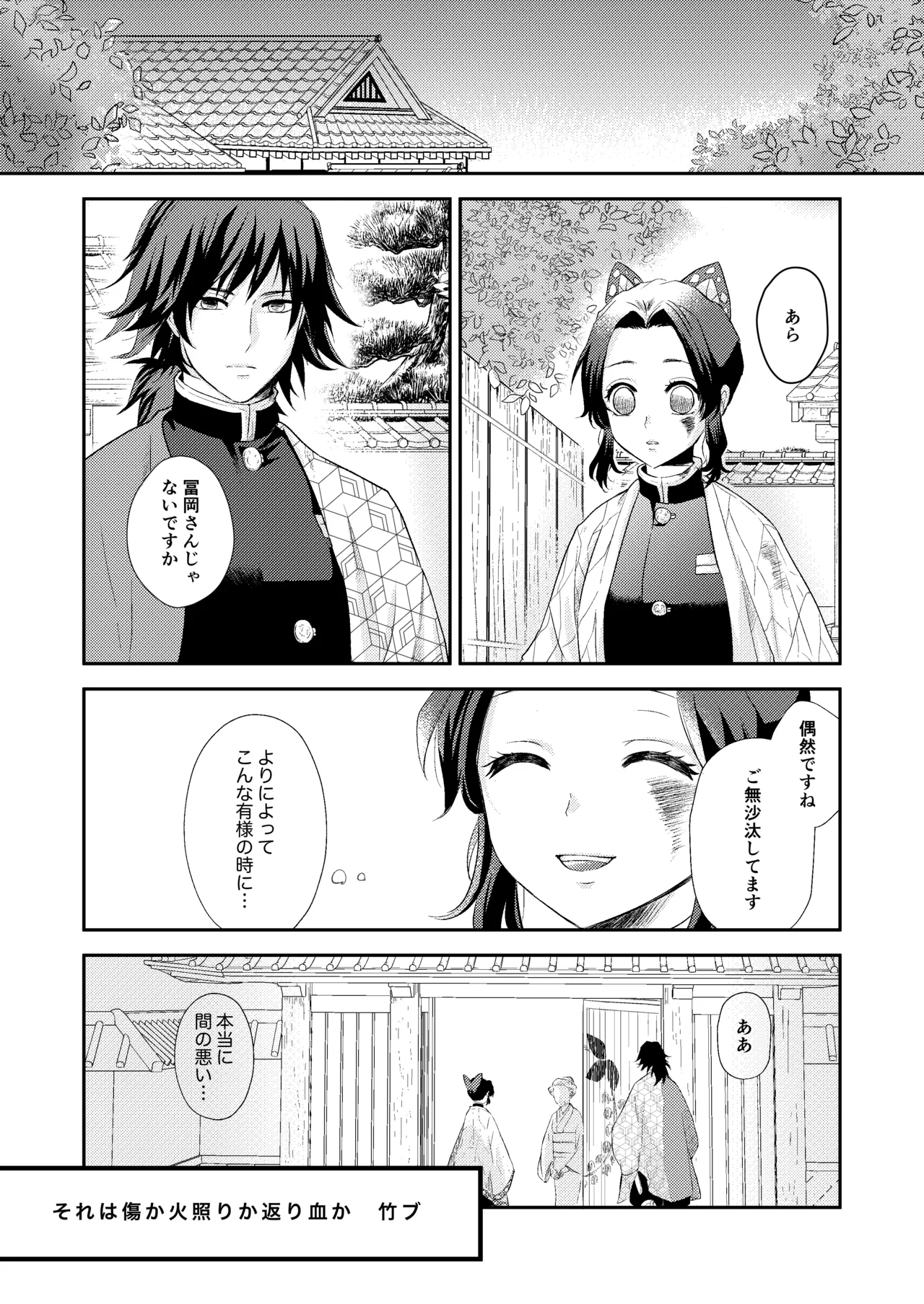 Sore wa Kizu ka Hoteri ka Kaeri Chi ka - Page 2