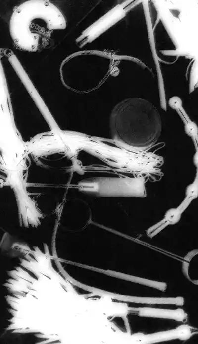 Ojoku kyōdai | 汚辱兄弟 5