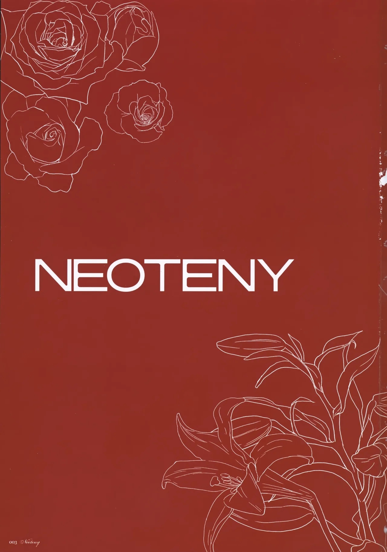 Natsu Matsuri ni Ike Nakatta Futari no Hanashi - Page 2