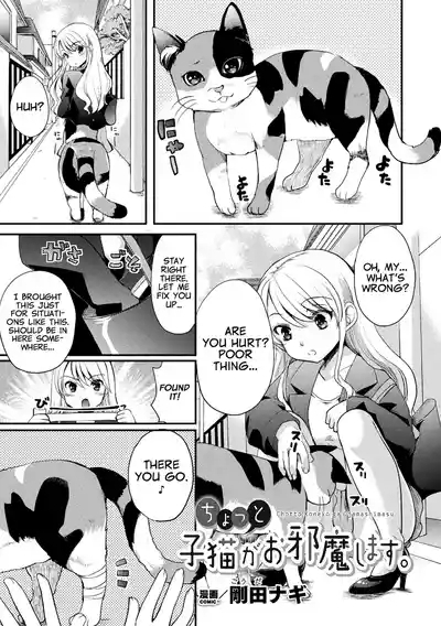 Chotto Koneko ga Ojamashimasu 1