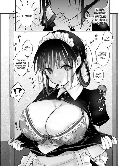 Maid no Kirina wa Bouchama ni Tsukushitai | Maid Kirina is Devoted to her Young Master 9