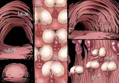 Fusion Wars - To Save the Mankind! Dive into the Pregnancy Hell 2