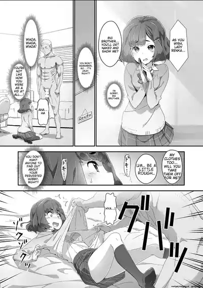 Cocoro Controller 2 8