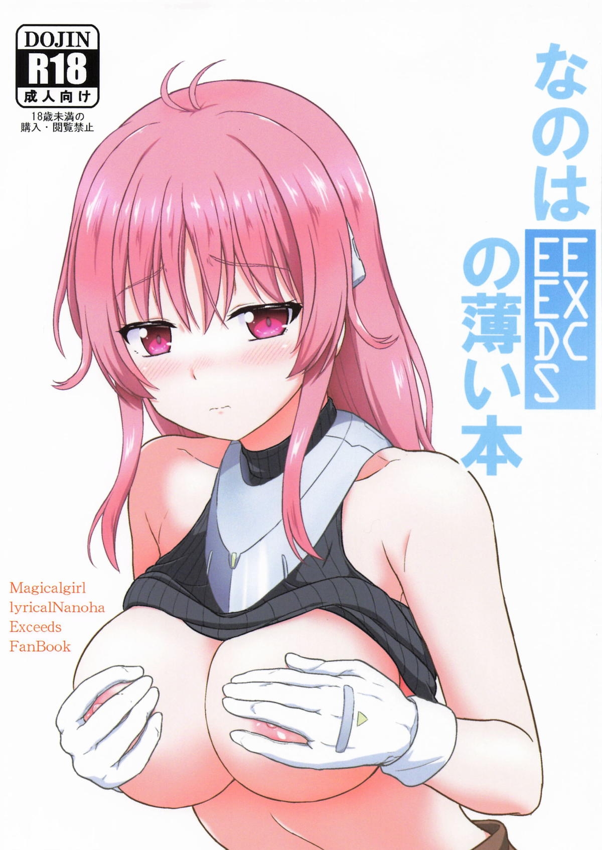 なのはEXCEEDSの薄い本 - Page 1