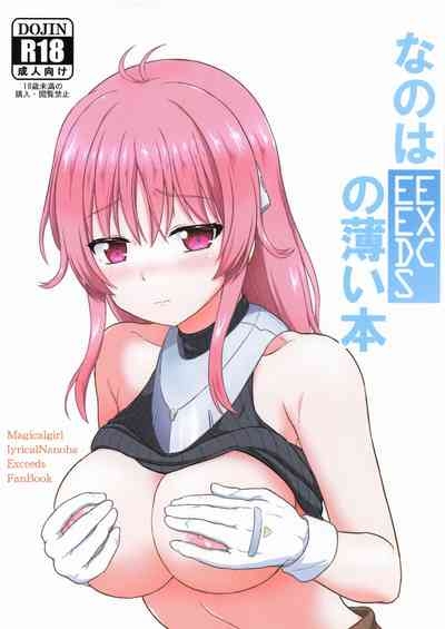 なのはEXCEEDSの薄い本 1