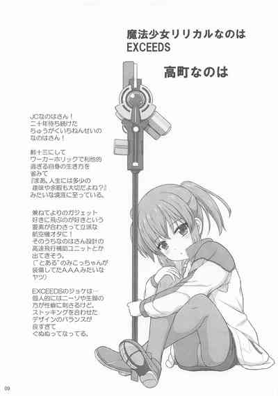 なのはEXCEEDSの薄い本 8