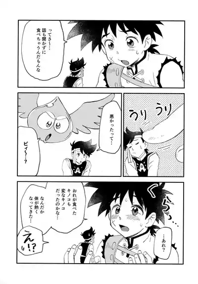クレイジーマッシュルーム 4