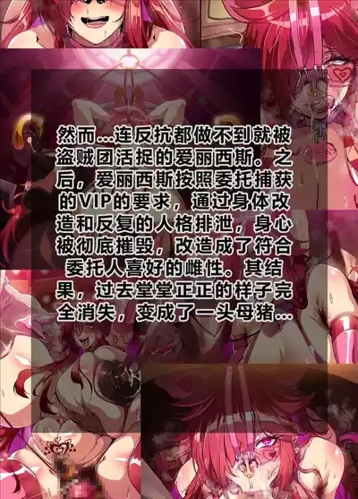 ELSWORD Series  1#Elesis F Lord 5