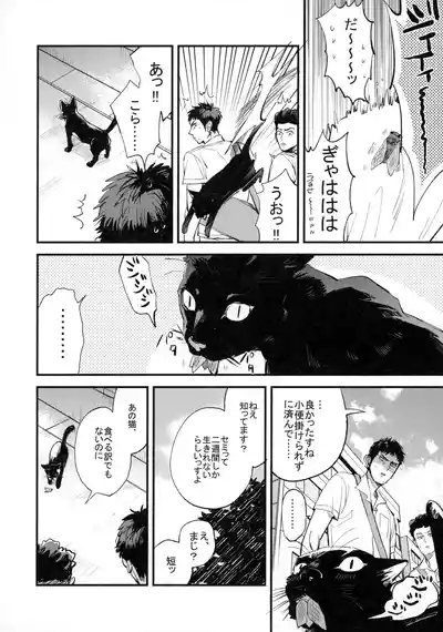 Hitonatsu no, 7
