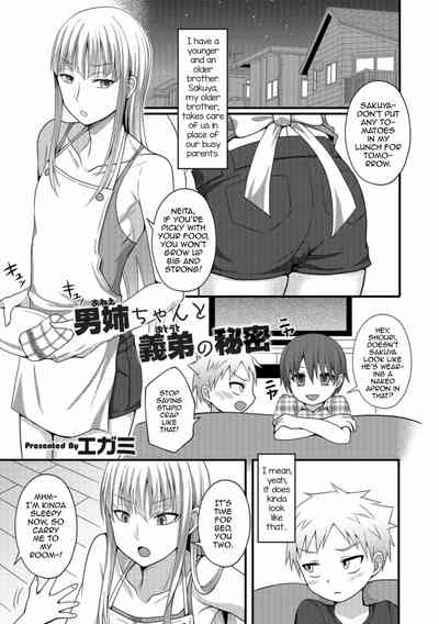Onee-chan to Otouto no Himitsu 1