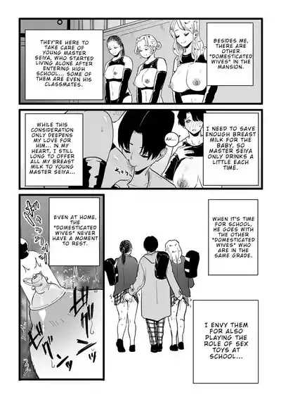 Mesu Dorei Sengen Sayonara Kaa-San Epilogo | Female Slave Declaration – Goodbye Mom Epilogue 6