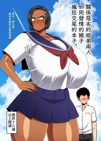仲の悪い姉と弟が発情したサルみたいに交尾しまくる本。 1