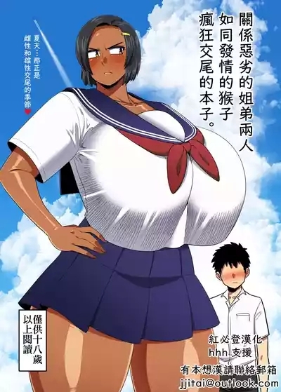 仲の悪い姉と弟が発情したサルみたいに交尾しまくる本。 2