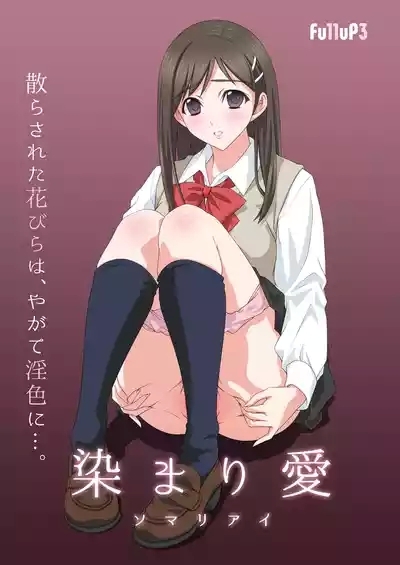 Somari ai 1