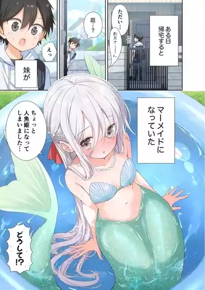 妹が一日一回しか目を合わせてくれない。After 3 ずっといっしょに 5