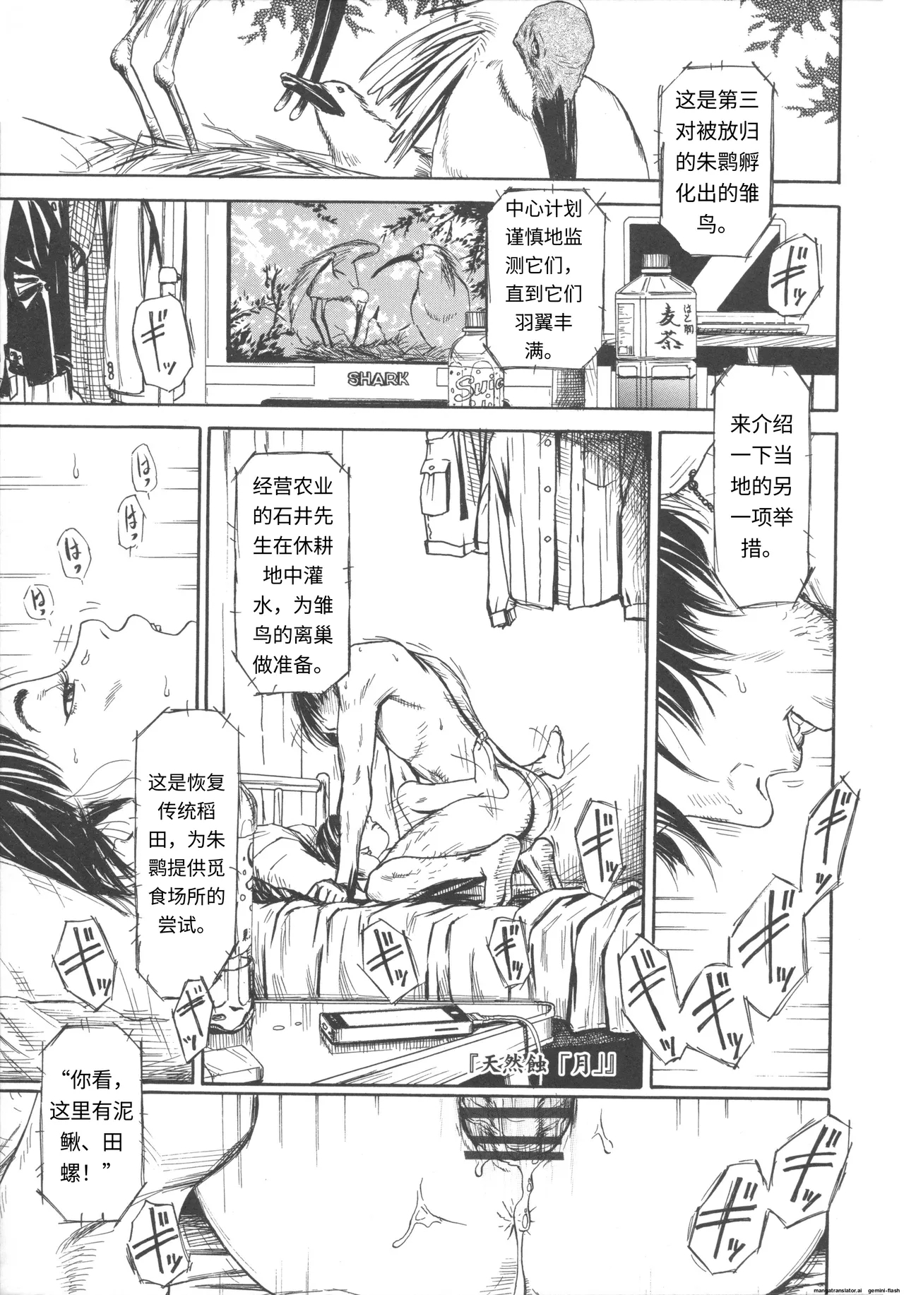 Shofu Hakkei - Page 5