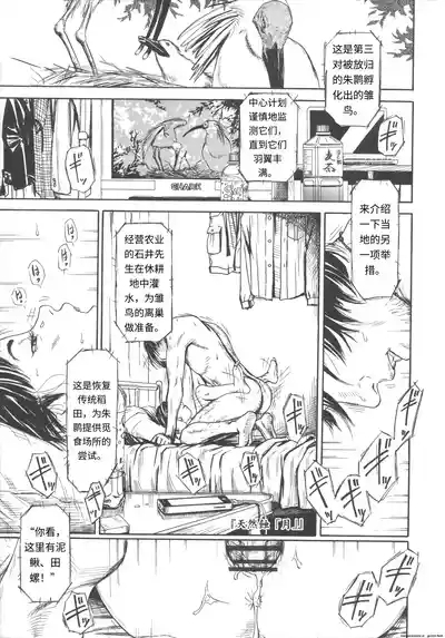 Shofu Hakkei 5