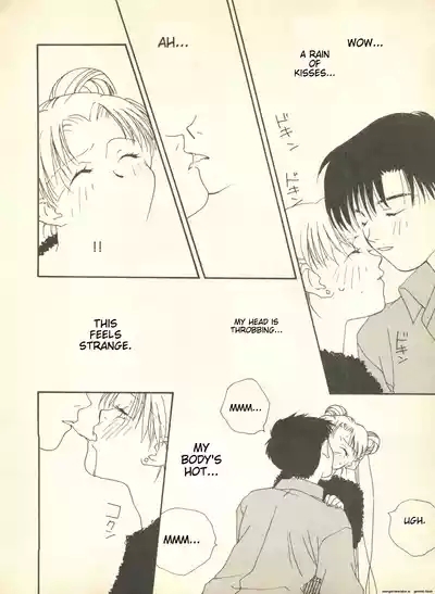 Lunatic Party 9English 9