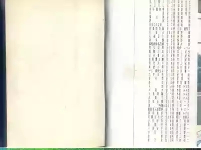 黄金小子5 3