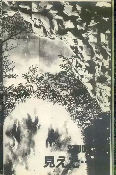 黄金小子7 4