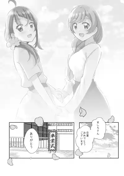 Precure 3