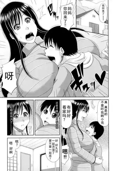 甲斐ひろゆき母子漫画合集 3