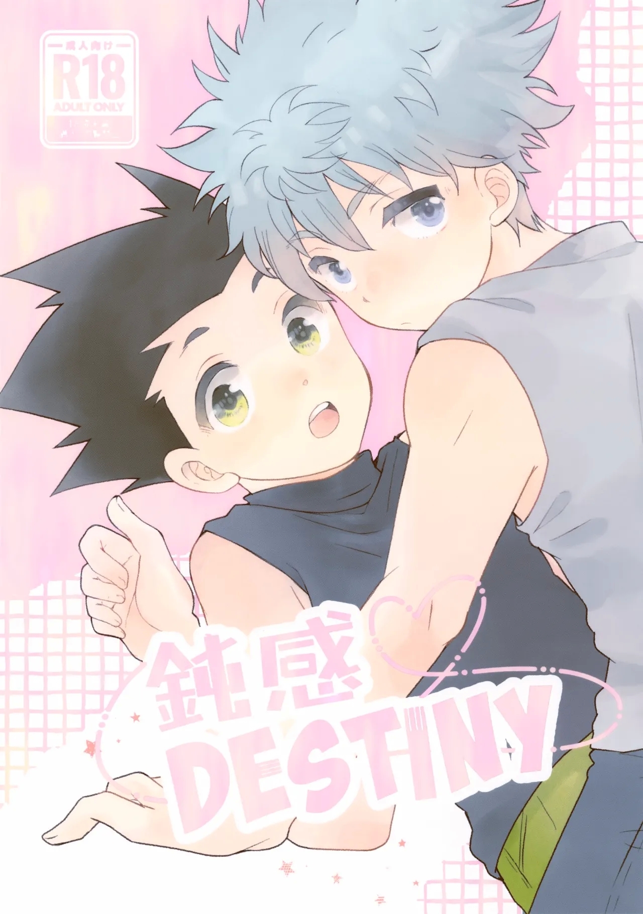 (Re:HUNTER 11) [SHIROZONE (水城ゆづき)] 鈍感DESTINY (ハンター×ハンター) - Hentaiaz.com - 1