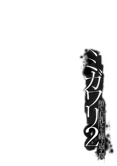 Migawari 2 4