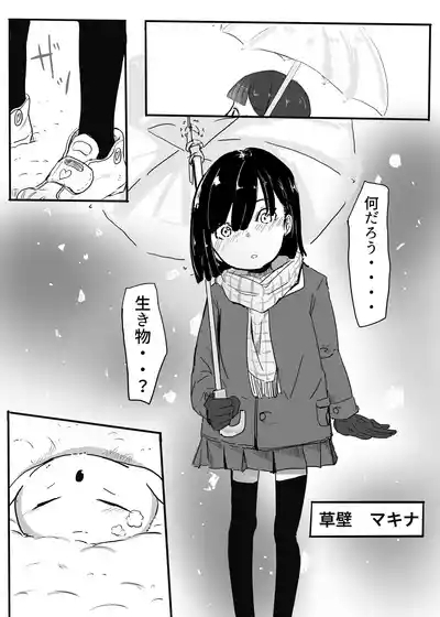 エンジェルマゼンタ 3