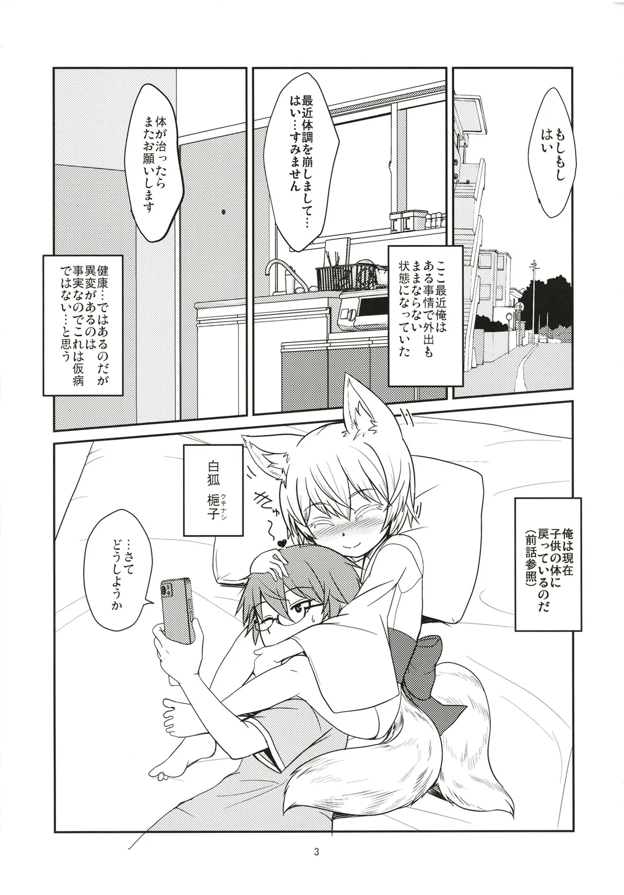 (C106) [端末異常 (BadHanD)] 白狐の杜其の拾肆 [DL版] - Hentaiaz.com - 3