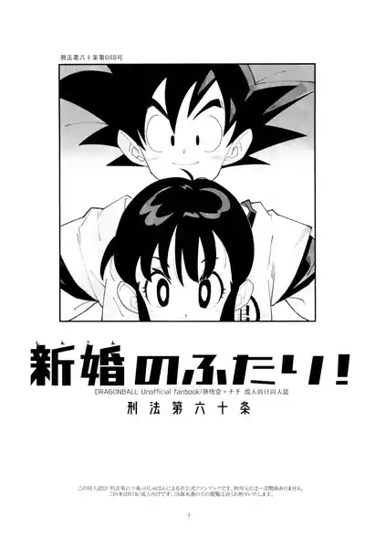 Shinkon no futari! 3