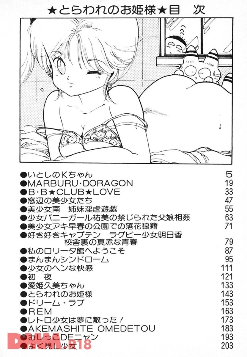 Toraware no ohimesama | Itoshi no K-chan❤ - Page 3