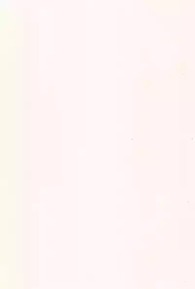 Koi ni Ochiru Oto ga shita 3