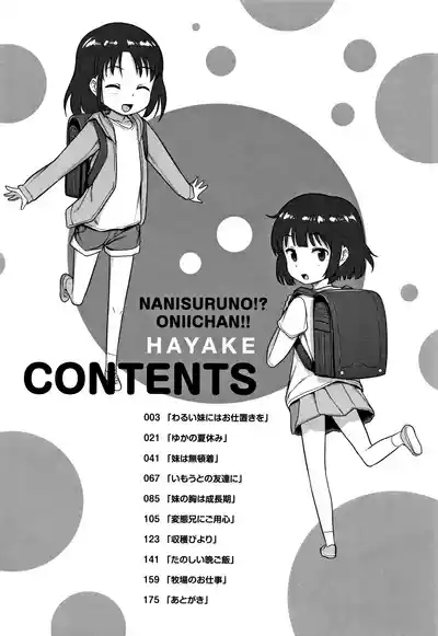 Nani Suru no!? Onii-chan!! 7