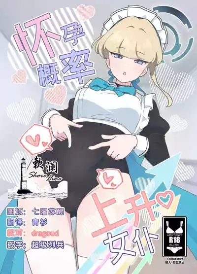 怀孕概率上升女仆 1